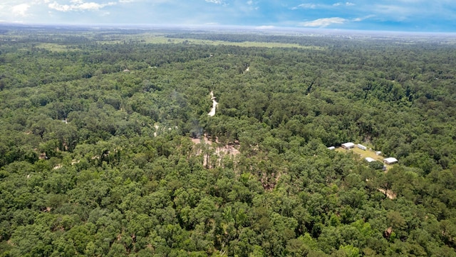 91 W 7th Way, Greenville, FL 32331