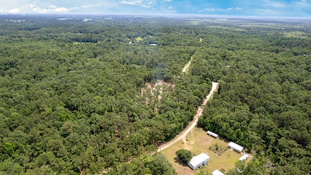 91 W 7th Way, Greenville, FL 32331