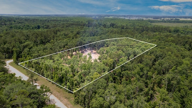 91 W 7th Way, Greenville, FL 32331