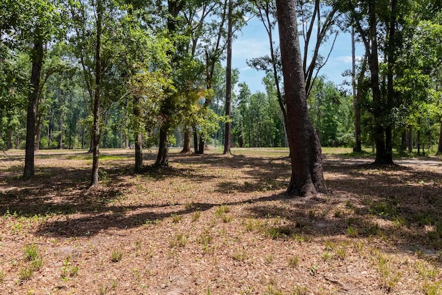 91 W 7th Way, Greenville, FL 32331