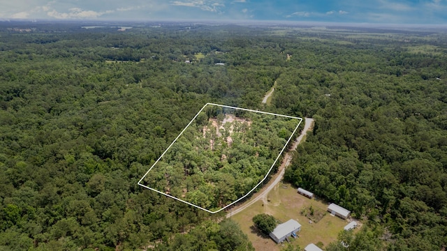 91 W 7th Way, Greenville, FL 32331
