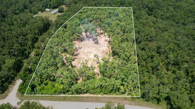 91 W 7th Way, Greenville, FL 32331