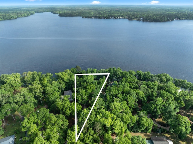 2719 Deborah Dr, Tallahassee, FL 32310 - drone / aerial view with a water view and a view of trees