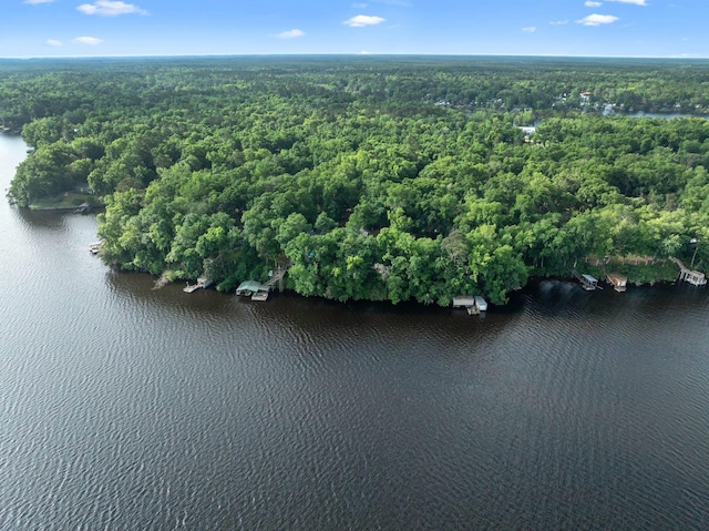2719 Deborah Dr, Tallahassee, FL 32310 - aerial view featuring a water view and a view of trees