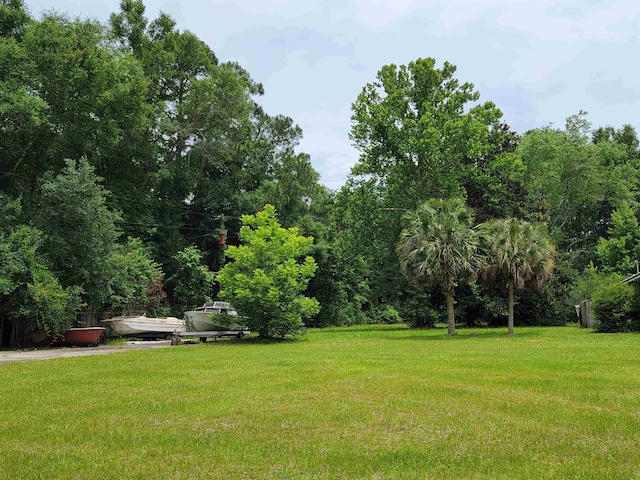 view of yard