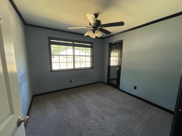 3229 Earl Dr, Tallahassee, FL 32309 - photo 10