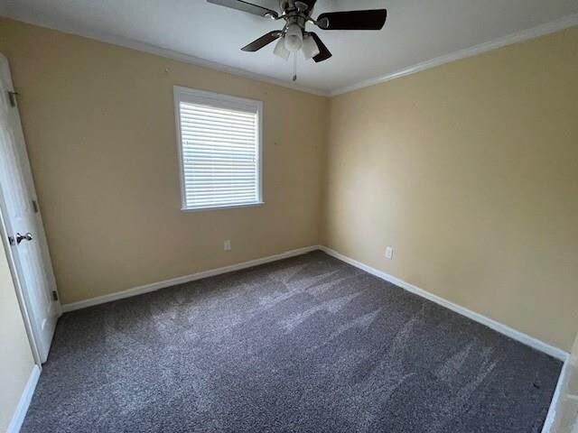 3229 Earl Dr, Tallahassee, FL 32309 - photo 12