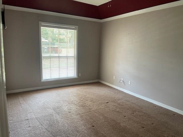 3229 Earl Dr, Tallahassee, FL 32309 - photo 8