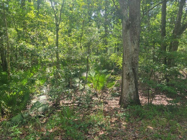 LOT16 Fig Tree Ln, Crawfordville, FL 32327