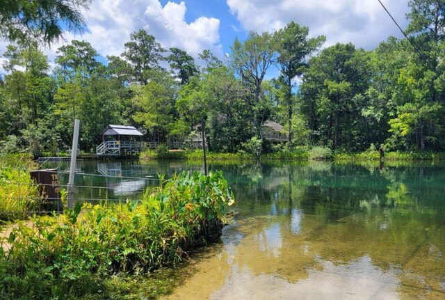 LOT16 Fig Tree Ln, Crawfordville, FL 32327