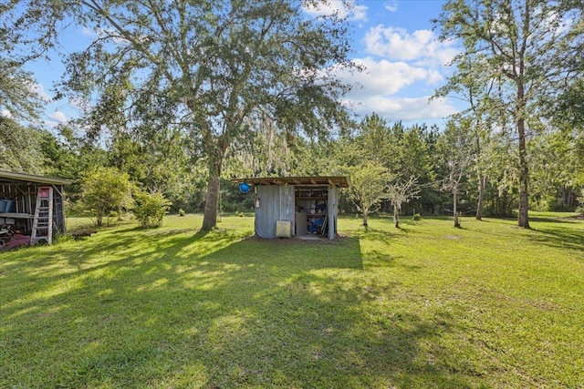 1439 W Lyman Hendry Rd, Perry, FL 32347 - view of grassy yard featuring an outbuilding