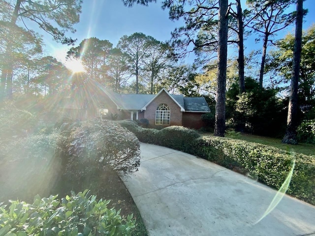 view of front of house with concrete driveway