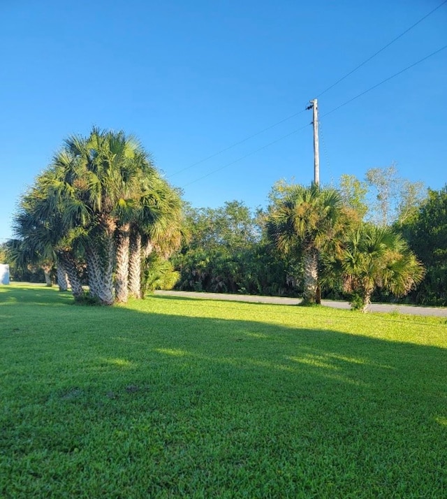 61 Lynn Cir, Crawfordville FL, 32355 land for sale