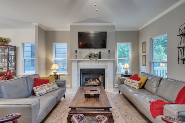 624 W 7th Ave, Tallahassee, FL 32303 - living room featuring wood finished floors, crown molding, and a fireplace