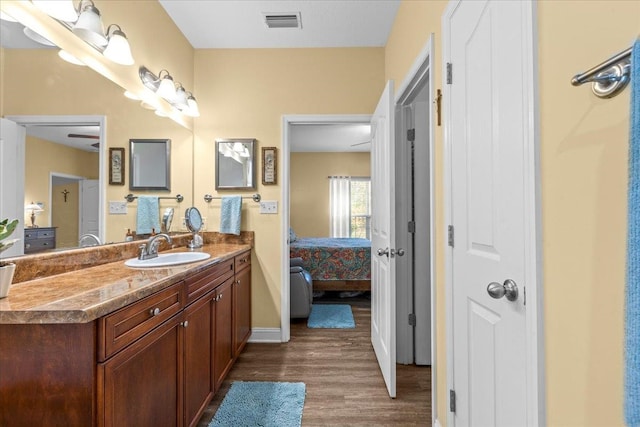 bathroom with vanity and wood-type flooring