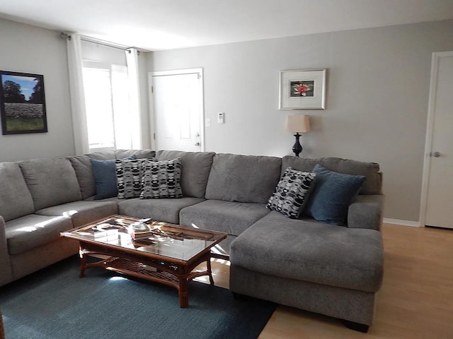 living room with hardwood / wood-style floors