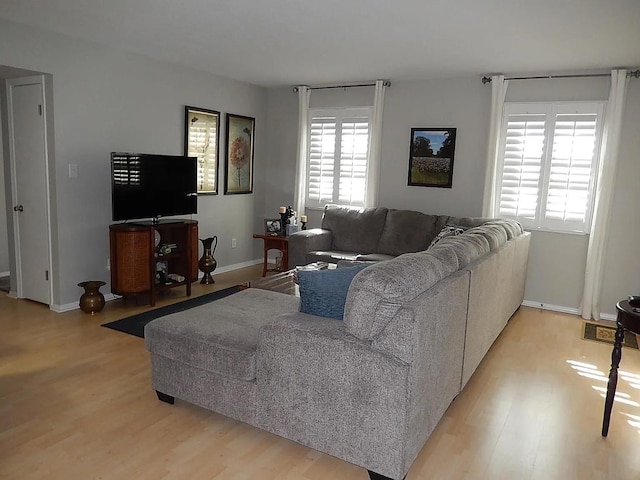 living room with wood-type flooring