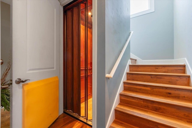 stairs with hardwood / wood-style floors