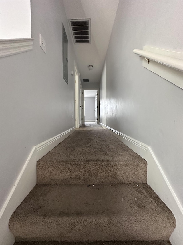 3340 Sugar Berry Way, Tallahassee, FL 32303 - stairs featuring carpet flooring