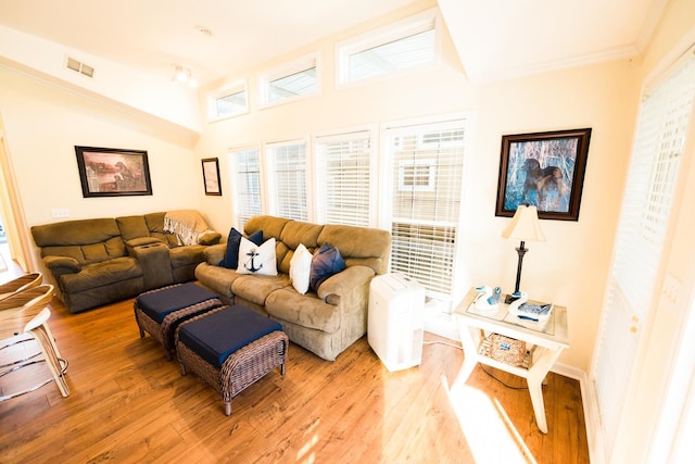 living room featuring ornamental molding and light hardwood / wood-style floors