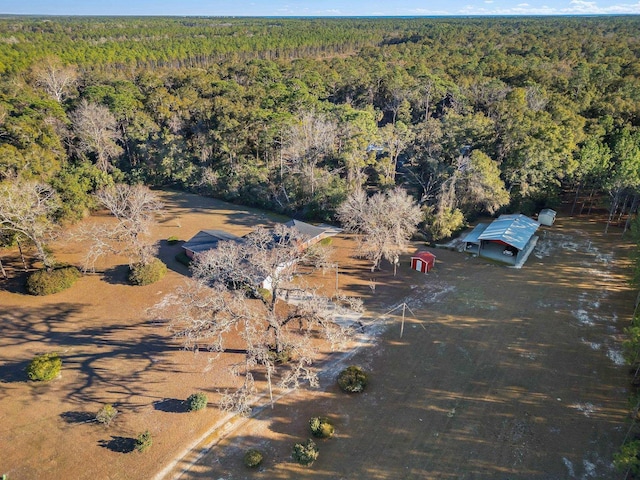 133 Jack Crum Rd, Crawfordville, FL 32327 - photo 33