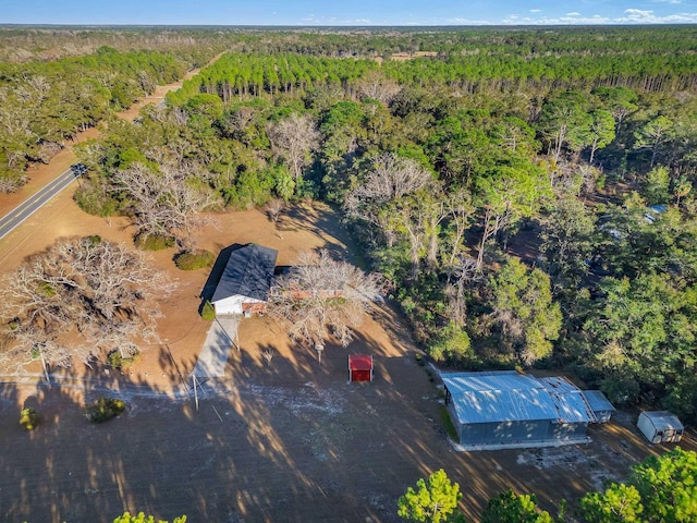 133 Jack Crum Rd, Crawfordville, FL 32327 - photo 29