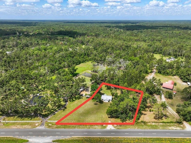 2743 US-19 Hwy, Perry, FL 32347 - aerial view of property's location featuring a heavily wooded area and property boundaries highlighted