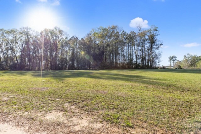 16025 Sunray Rd, Tallahassee, FL 32309 - photo 39