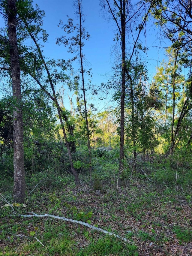 LOT22 Wilder Creek Dr, Perry FL, 32347 land for sale