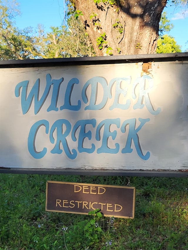 Listing photo 2 for LOT22 Wilder Creek Dr, Perry FL 32347