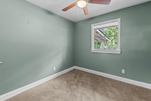 2131 Berkshire Dr, Tallahassee, FL 32304 - photo 17