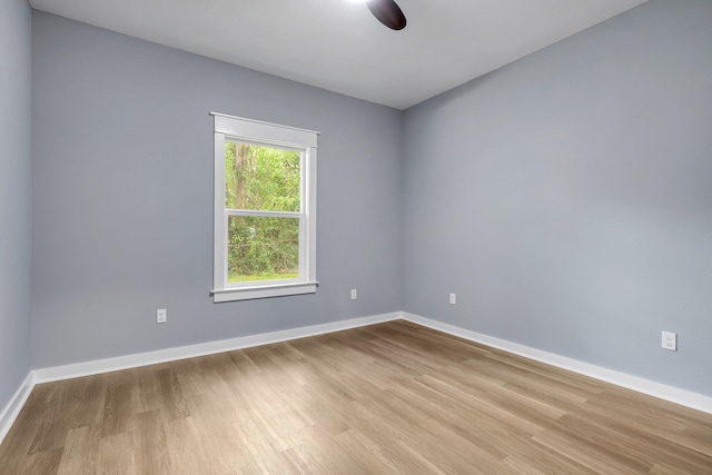 279 Ayers Ct, Tallahassee, FL 32305 - empty room featuring light wood-style floors, baseboards, and ceiling fan