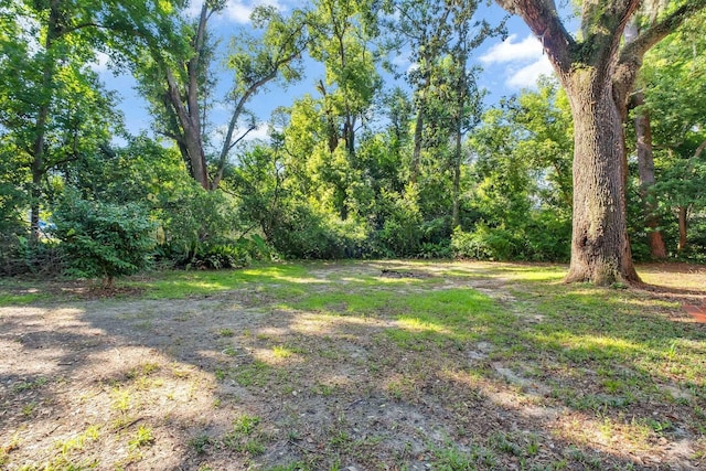 123 Columbia Dr, Tallahassee, FL 32304 - photo 22