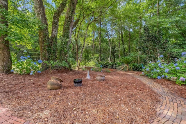 988 Timber Run, Havana, FL 32333 - view of yard