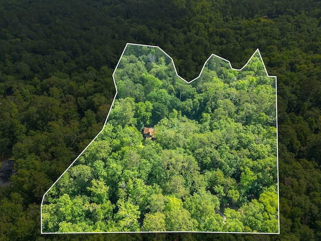 988 Timber Run, Havana, FL 32333 - aerial view of property's location featuring a heavily wooded area and property parcel outlined