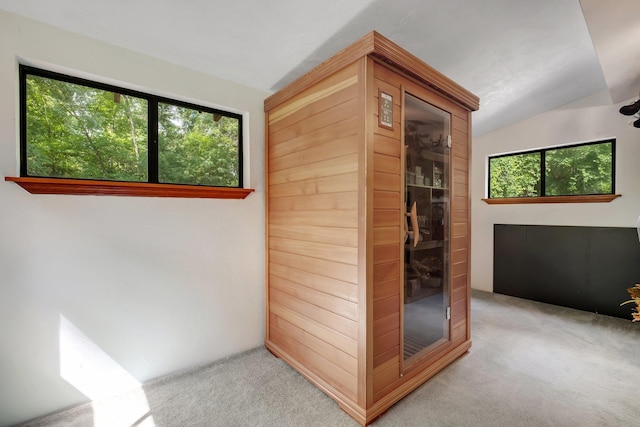 988 Timber Run, Havana, FL 32333 - hall featuring carpet floors, vaulted ceiling, and a relaxing sauna