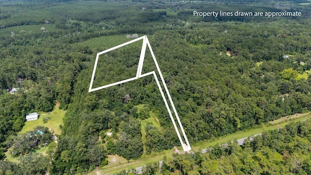 9497 Gamble Rd, Monticello, FL 32344 - photo 24