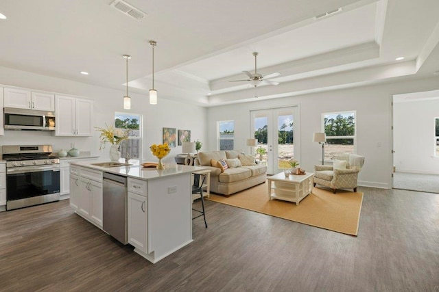 4468 River Breeze Ln, Tallahassee, FL 32303 - kitchen with appliances with stainless steel finishes, open floor plan, dark wood-style floors, healthy amount of natural light, and recessed lighting