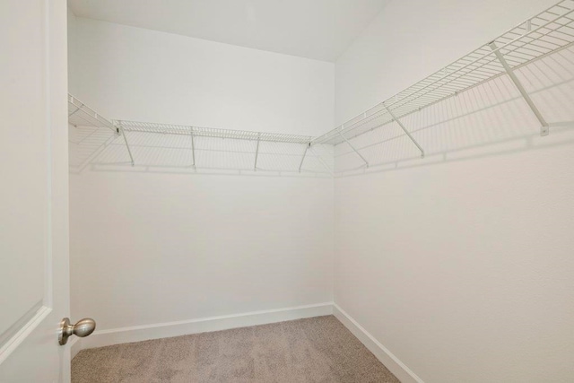 4468 River Breeze Ln, Tallahassee, FL 32303 - walk in closet with light carpet