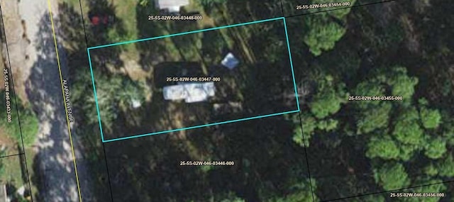 XX Alapaha Ave, Panacea FL, 32346 land for sale