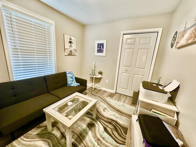 living room with hardwood / wood-style flooring