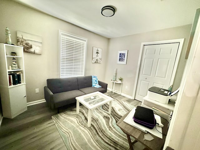 living room featuring dark hardwood / wood-style floors