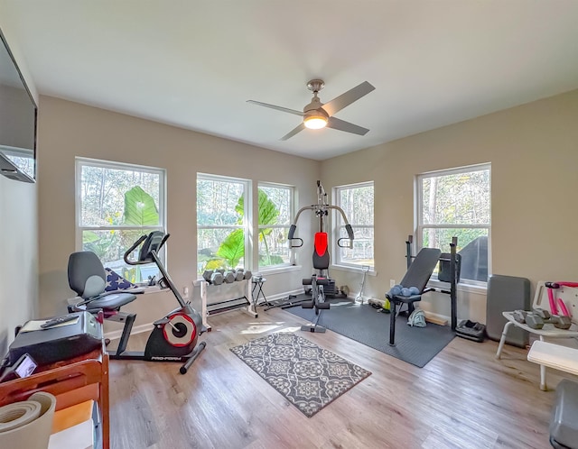 2825 Turkey Hill Trl, Tallahassee, FL 32312 - workout area with wood finished floors and ceiling fan