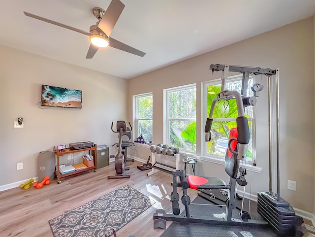 2825 Turkey Hill Trl, Tallahassee, FL 32312 - exercise room featuring wood finished floors, a ceiling fan, and baseboards