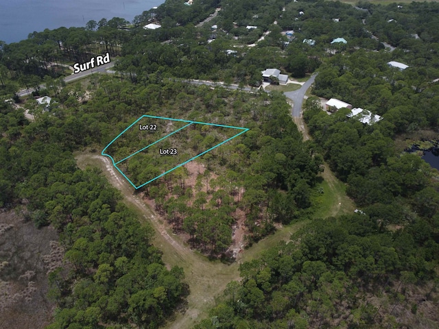 LOT22 Tarpine Dr, Panacea FL, 32346 land for sale