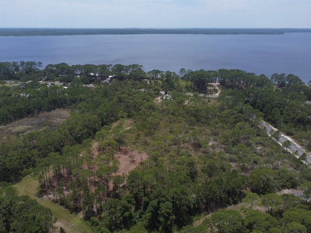 Listing photo 3 for LOT22 Tarpine Dr, Panacea FL 32346