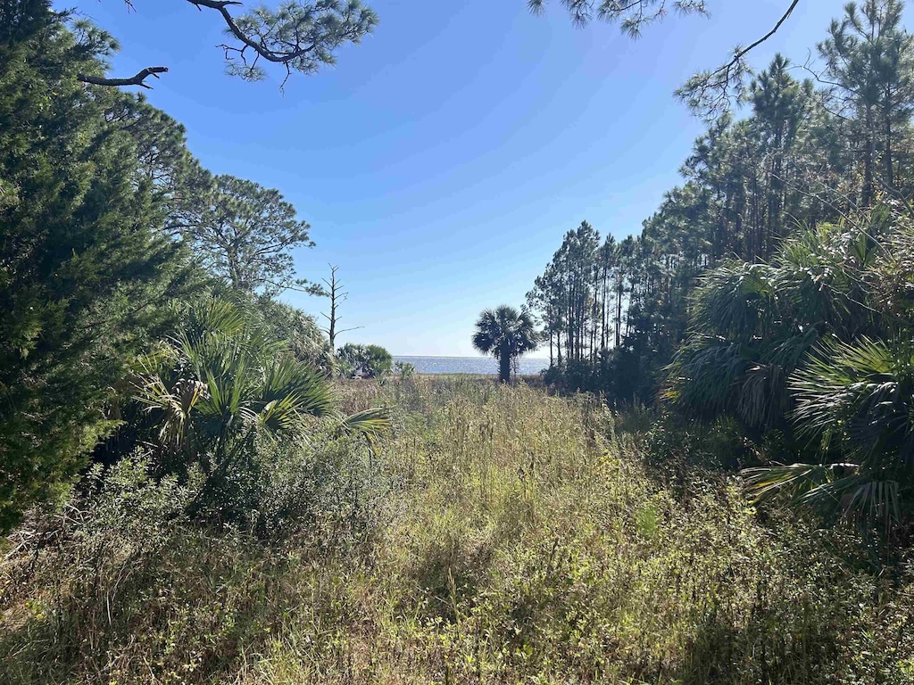 2187 E 98th Hwy, Lanark, FL 32322 - photo 4