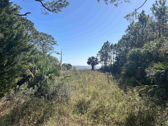 2187 E 98th Hwy, Lanark, FL 32322 - photo 4