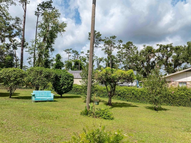 304 SE Sullivan Ave, Madison, FL 32340 - photo 14
