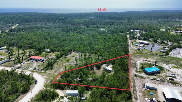 0 E Royal Oak Dr, Perry, FL 32348